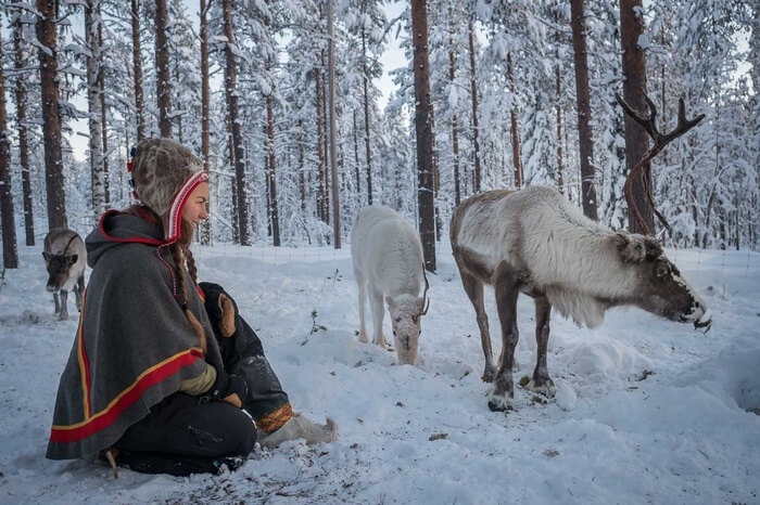 Sami Culture Private Experience